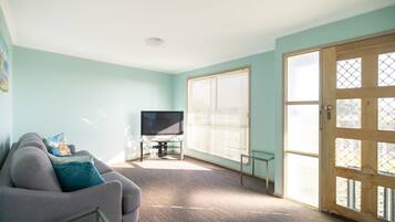 TV, DVD player, books, video library