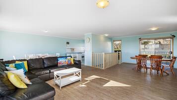 TV, DVD player, books, video library