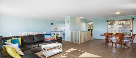 TV, DVD player, books, video library