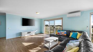 TV, DVD player, books, video library