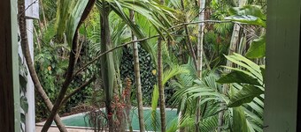 "Native" Morumbi Mansion