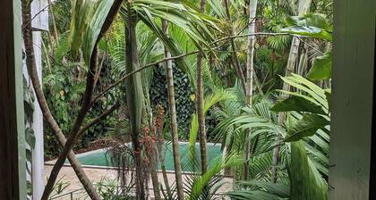 "Native" Morumbi Mansion