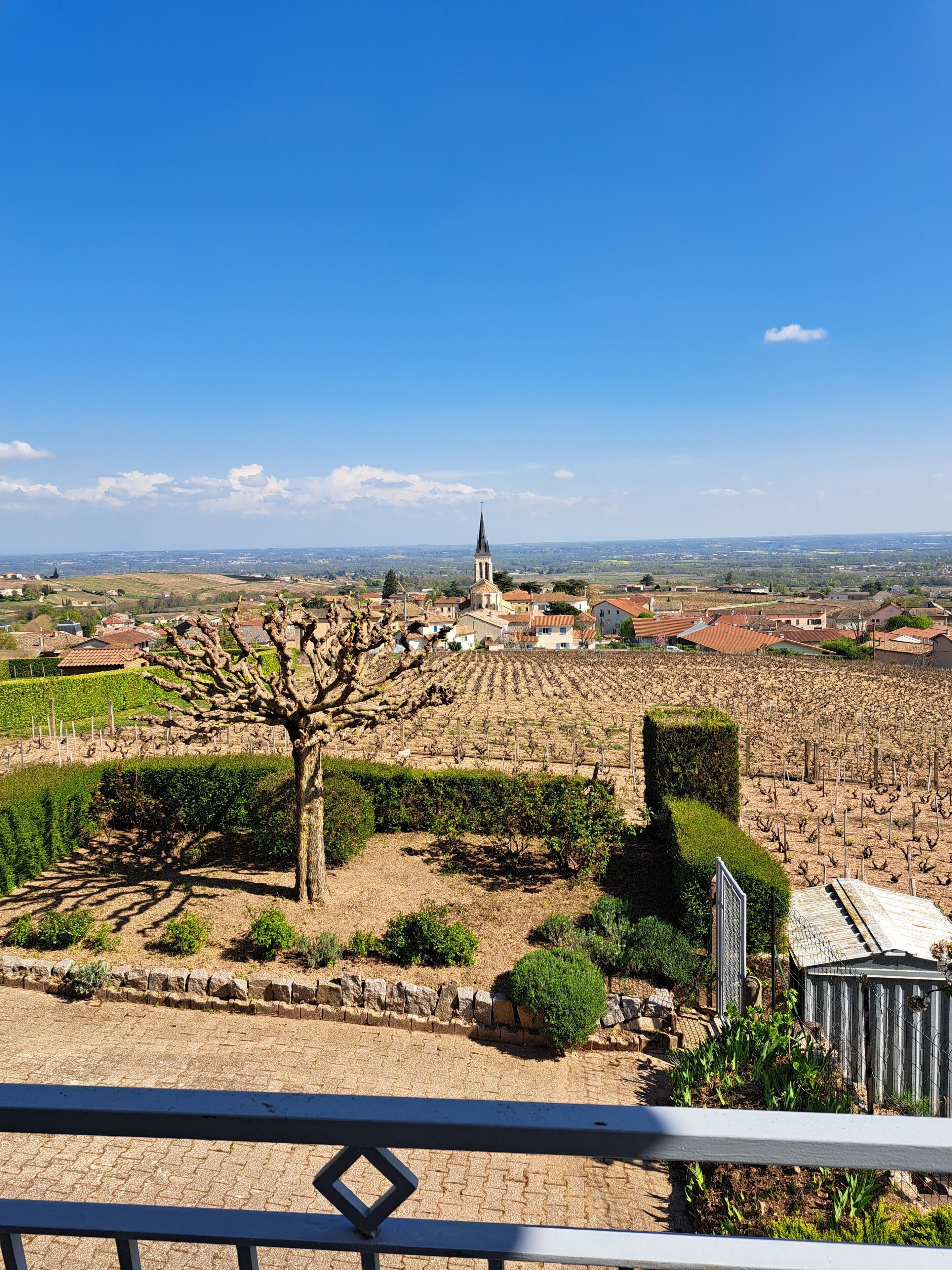 المنطقة المحيطة بالمنشأة