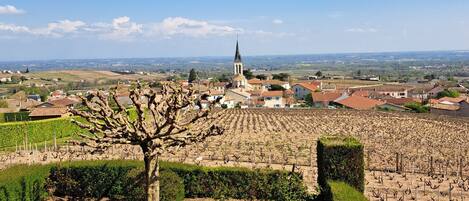 المنطقة المحيطة بالمنشأة