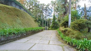 A stone pathway flanked by lush greenery and trees, leading to a gate.