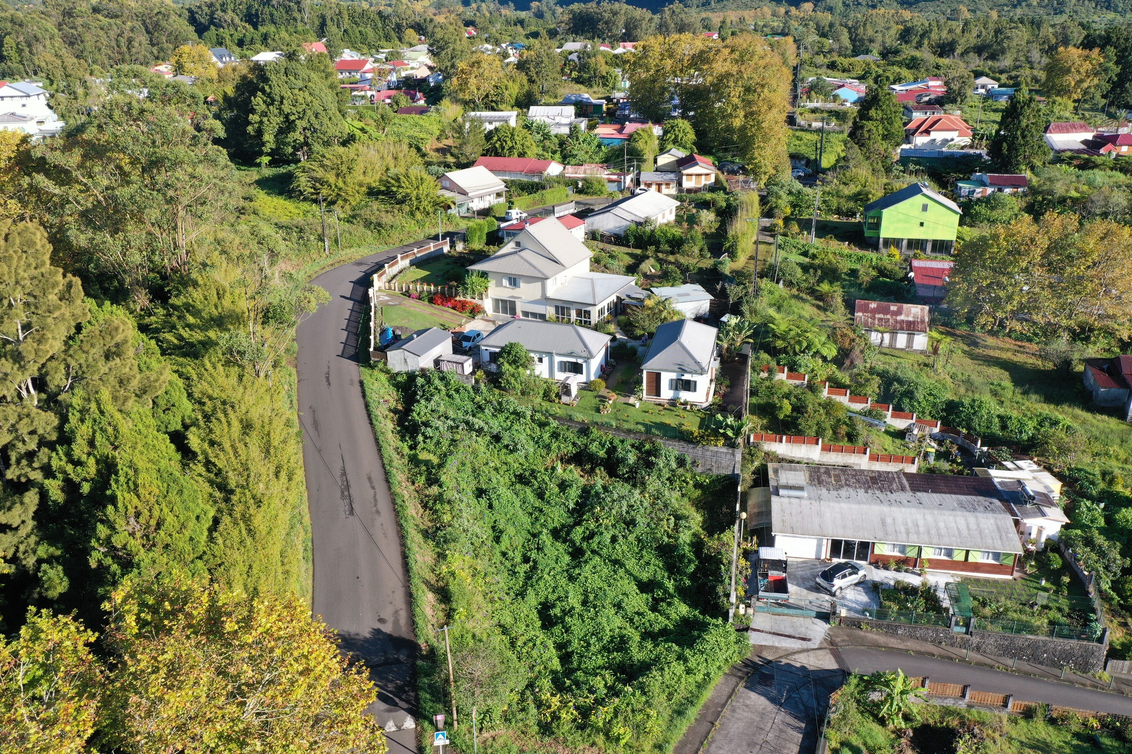 An aerial view of a residential area with houses, a winding road, and dense greenery.