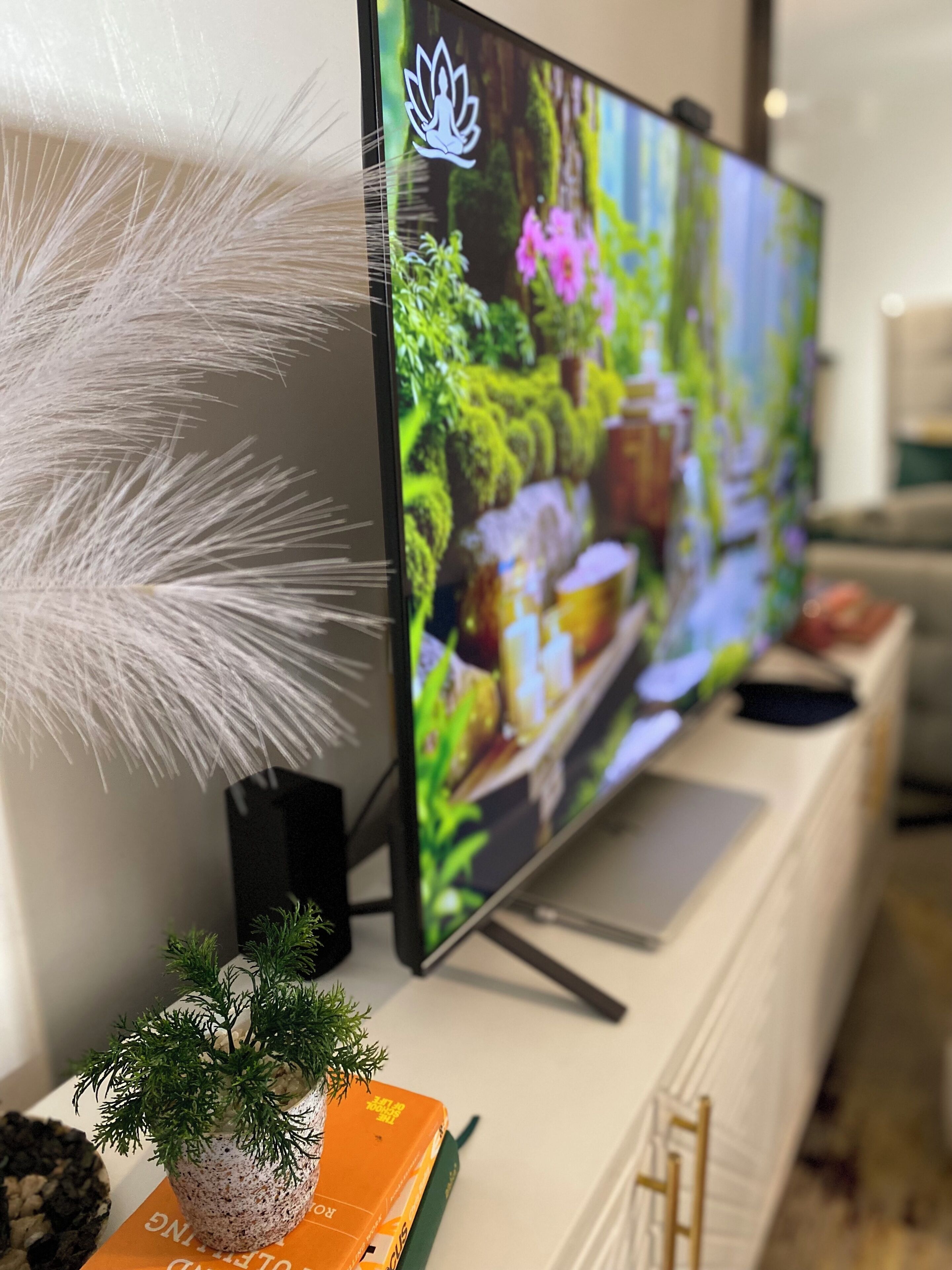 A flat-screen TV on a white stand with a decorative white feather-like object to the left.