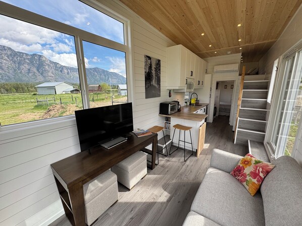 Smart TV, DVD player, books