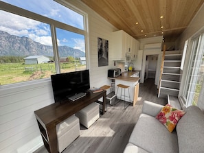 Smart TV, DVD player, books