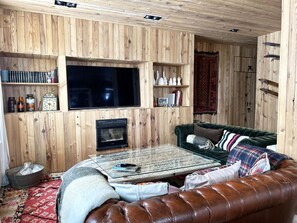 TV, fireplace, books