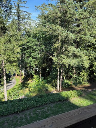 Welcome to “The Pines” at The Cedars