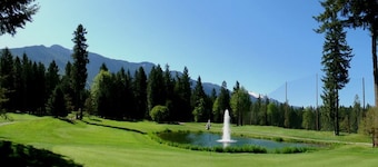Welcome to “The Pines” at The Cedars