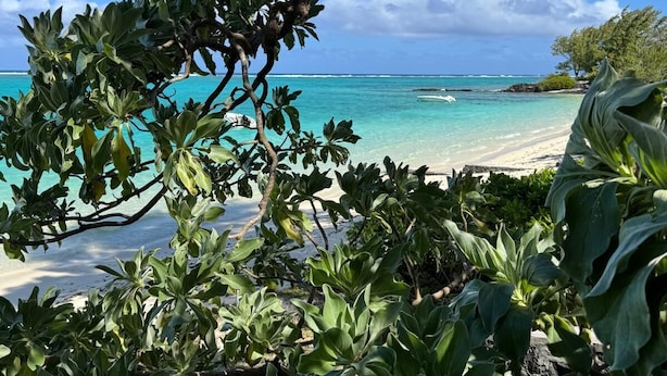 A tropical beach with clear turquoise waters, a sandy shore, and lush greenery. - Tilakaz Kreol (Pointe d'Esny)