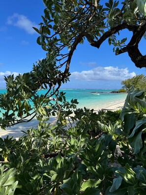 A tropical beach with clear turquoise waters, a sandy shore, and lush greenery. - Tilakaz Kreol (Pointe d'Esny)