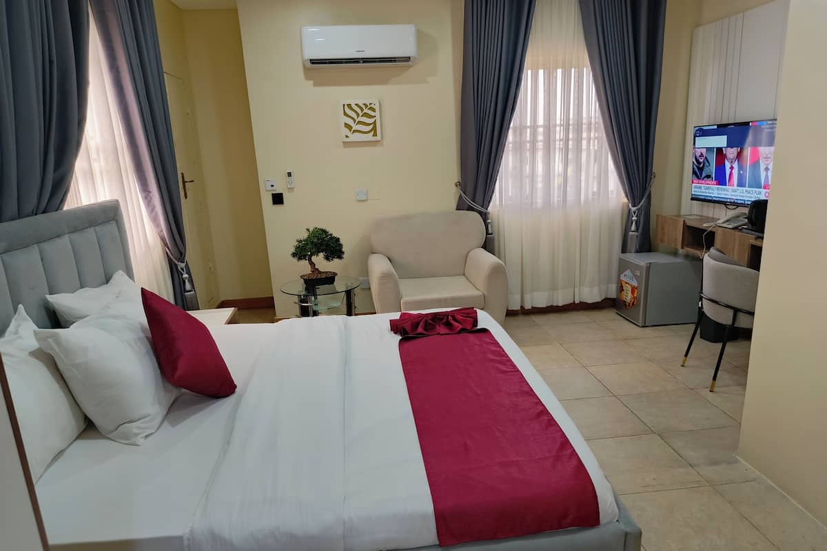 Une chambre d’hôtel avec un lit, une chaise, un bureau, une télévision et une petite table sur laquelle est posée une plante.
