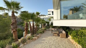 Un edifici modern amb un camí de grava flanquejat per palmeres i una zona de seients.