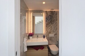 Shower, hair dryer, bidet, towels