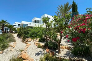 Terrain de l’hébergement 