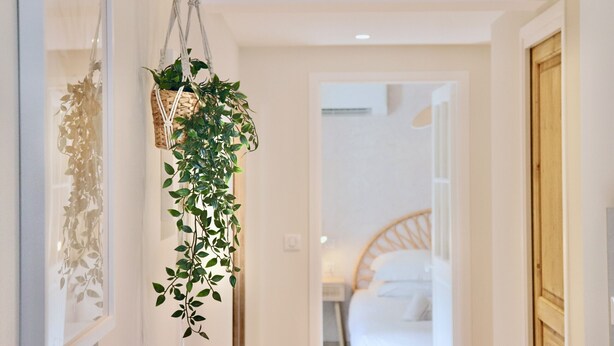 Un couloir avec une plante suspendue, un lit avec une literie blanche et une porte en bois.