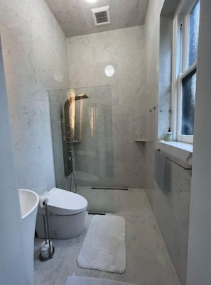 Shower, hair dryer, towels, soap