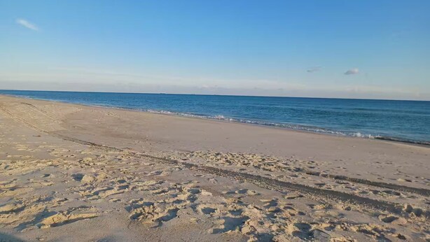 Uma praia com céu claro e mar calmo.