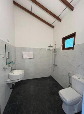 Secador de cabelo, toalhas de banho, sabonete, papel higiênico