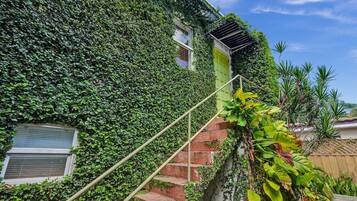 Una casa con una escalera cubierta de hiedra verde, una ventana pequeña y una cerca de madera al fondo.