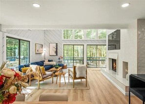 TV, fireplace