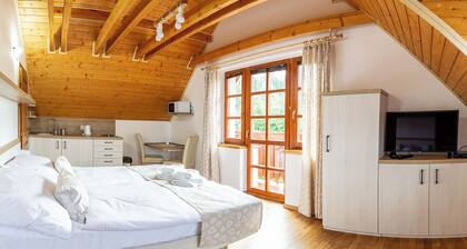 Apartment with a view of the Tatras