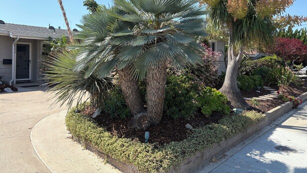 Propiedad residencial con un jardín bien cuidado, con palmeras y plantas en flor.