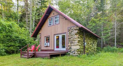 10 Mi to Gore Mountain! Pet-Friendly Cabin