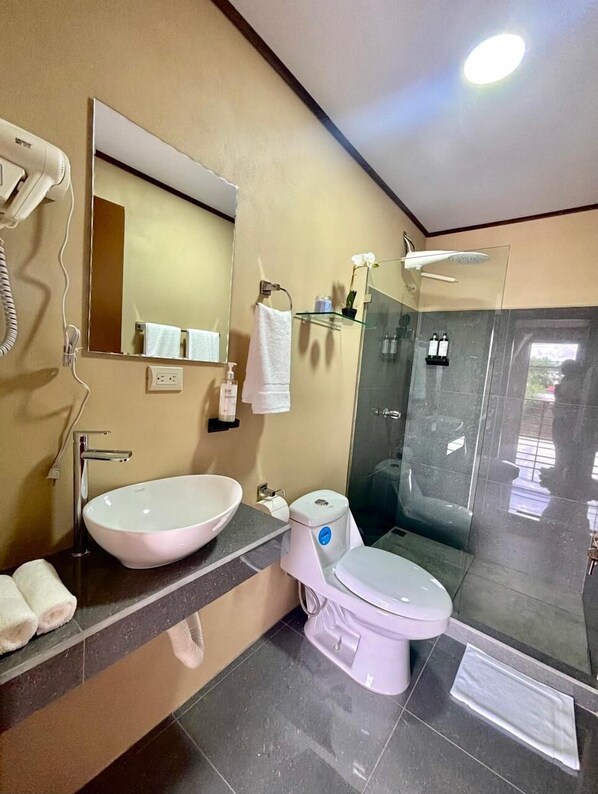 Une salle de bain moderne avec un grand lavabo, des toilettes et une douche à parois de verre.