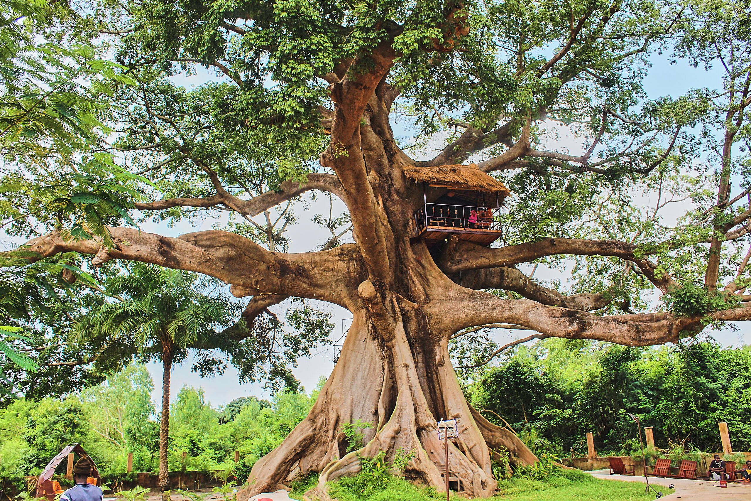 Vil·la, no fumadors, vistes al complex turístic | Decoració individual i mobiliari individual 