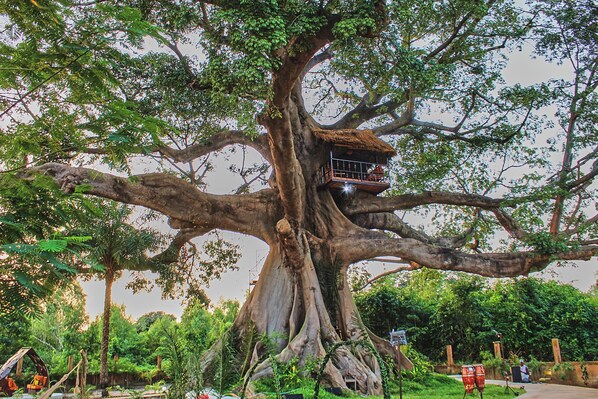 A large tree with a wooden structure built into its branches. - Wassado cultural lodging (Cap Skirring)