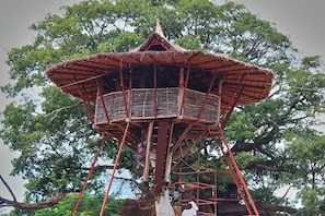 Bar (on property) - Wassado cultural lodging (Cap Skirring)