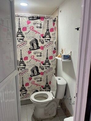 シャワー、タオル、石鹸、トイレットペーパー