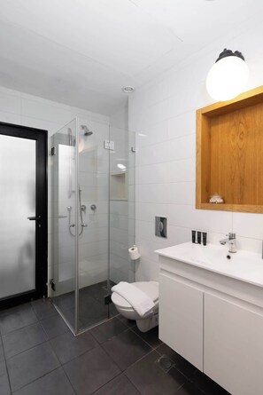 Shower, hair dryer