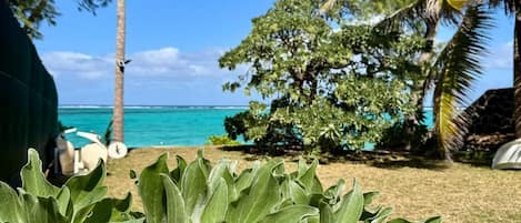 A tropical garden with a view of the ocean and palm trees.
