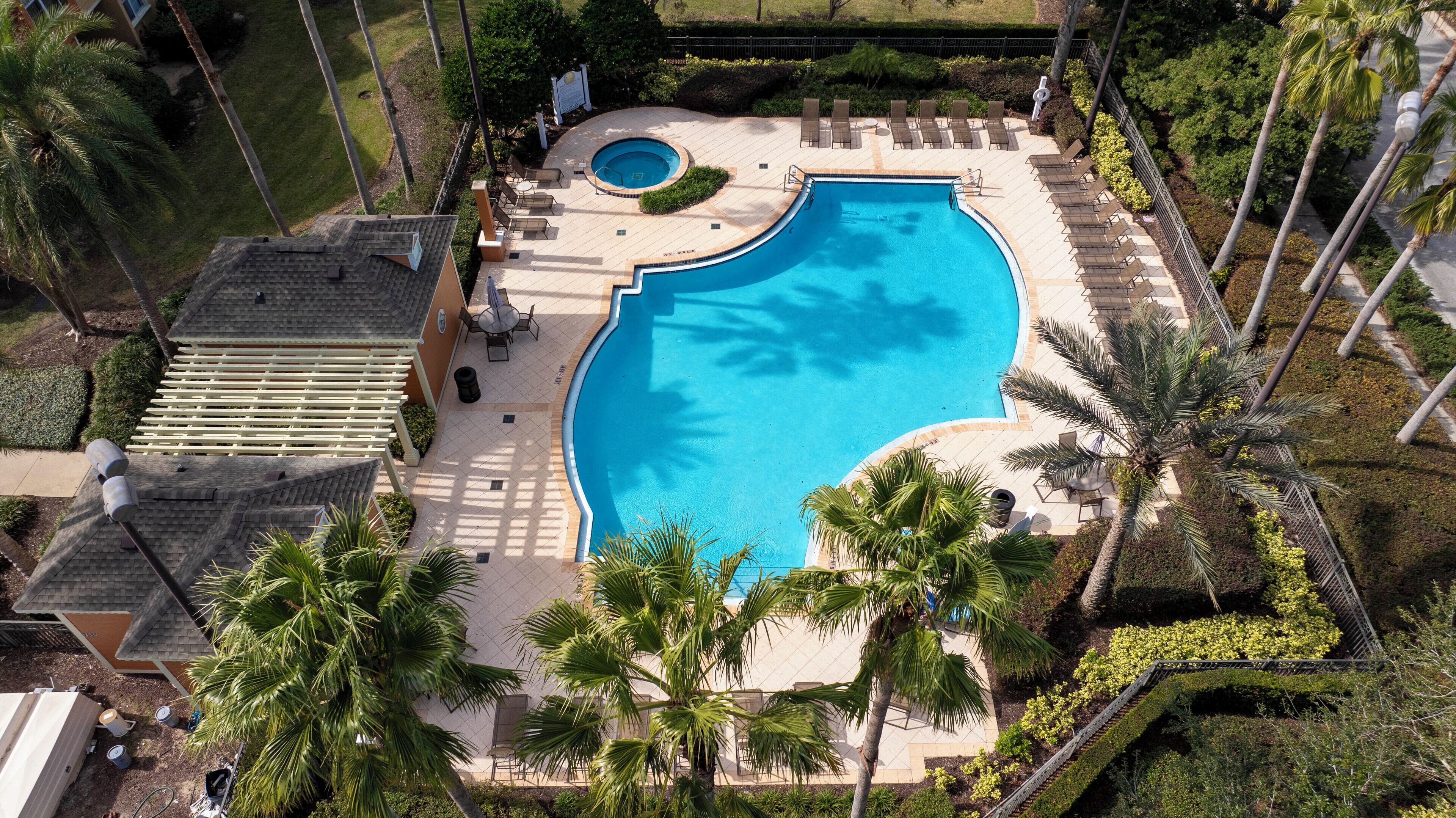 An aerial view of a swimming pool surrounded by palm trees, lounge chairs, and a small circular hot tub.
