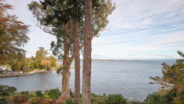 A lakeside view with tall trees, a dock, and a grassy area. - Chalet 1 @ The Retreat (Taupo)
