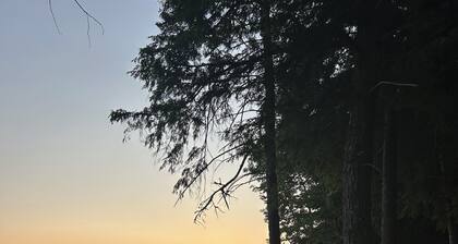 Escape to Green Lake