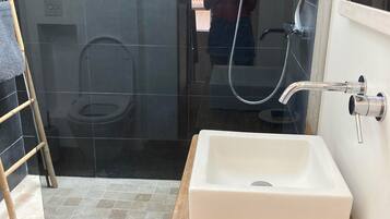 Shower, hair dryer, soap, toilet paper