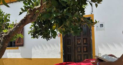 Fabulous 3-bedroom studio in Assumar