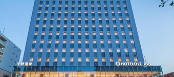 Hotel Ole Inn
