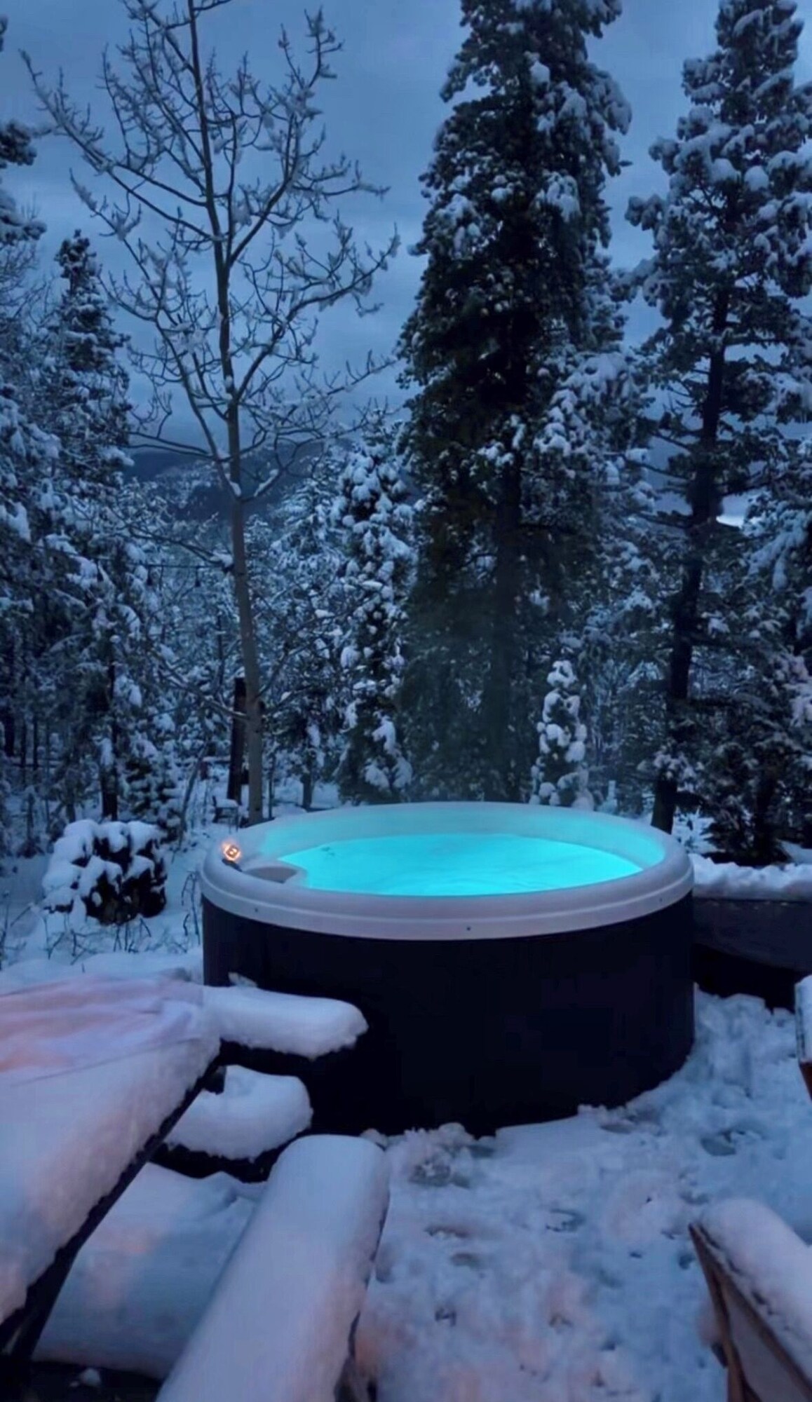 Værtens profilbillede