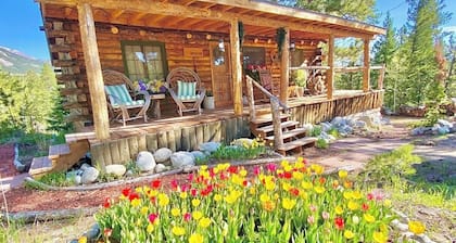 Rustic Log Cabin near National Park with Hot Tub & Mountain Views