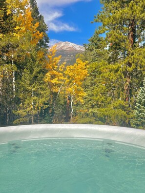 Baignoire à remous extérieure