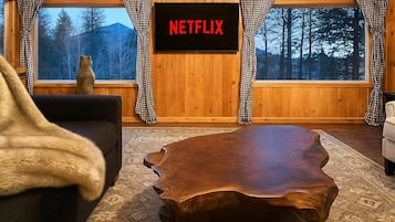 Smart TV, fireplace, books