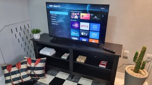 Ein Wohnzimmer mit Fernseher auf einem schwarzen Standfuß, einem karierten Teppich, einer Kakteenpflanze und einer Fernbedienung.