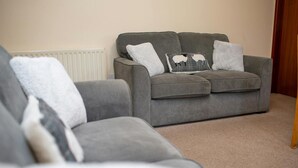 A grey sofa with two matching cushions, a radiator, and a wooden door in a room with beige carpet.